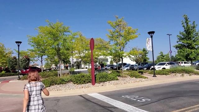 #11 США День Рождения/ Гости/ Подарки/ Ресторан/ МЫ В АМЕРИКЕ/ ВЛОГ США/ 俄罗斯移民在美国的生活 смотреть онлайн