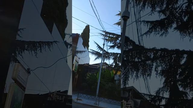 г.СОЧИ , КАФЕ   