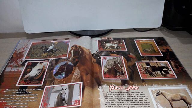 Panini 2007 COMPLETE A Love for a Horse sticker album review. Un Amour de Cheval. смотреть онлайн