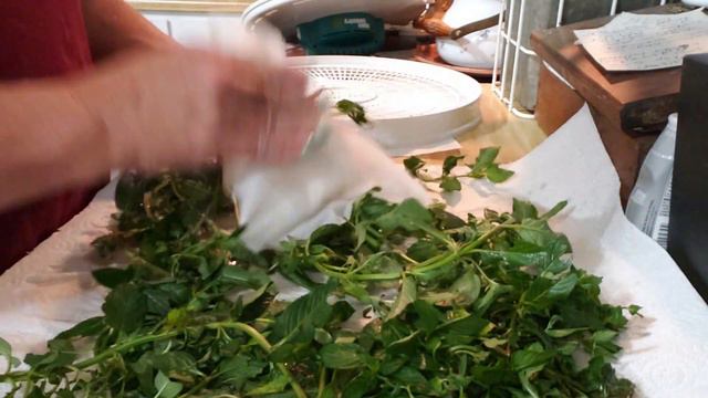 Grow bag Potatoe Harvest смотреть онлайн