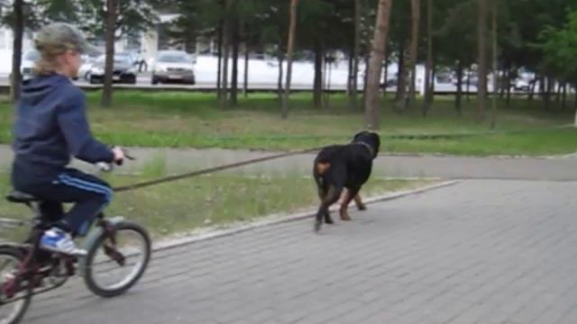 Детство. ДоШкольные годы чудесные смотреть онлайн