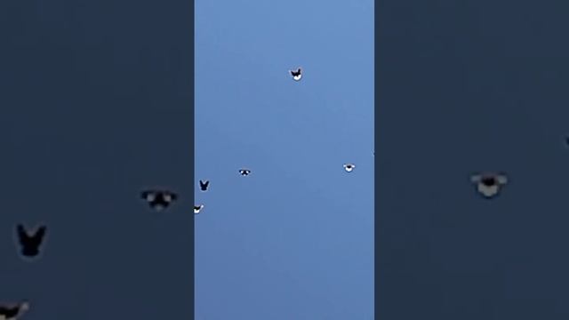 8 июня 2023 г. смотреть онлайн