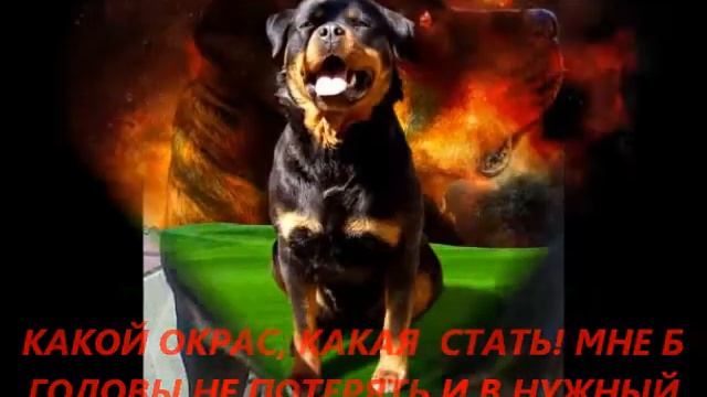 Маленький подарок Стёпе смотреть онлайн