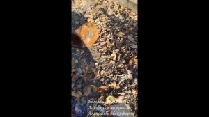 Лайфхак. Как заменить мембрану гидроаккумулятора насосной станции