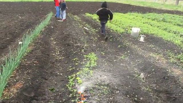 Дети носятся под Поливалкой смотреть онлайн