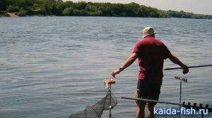 Ловля в проводку с длинным отпуском снасти на течении вместе с Kaida Fish! #2