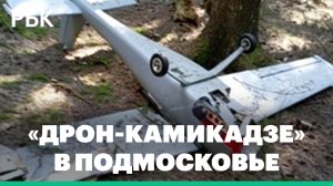 В Подмосковье упал украинский «дрон-камикадзе» со взрывчаткой. Откуда запустили беспилотник