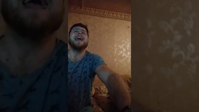 живой голос смотреть онлайн