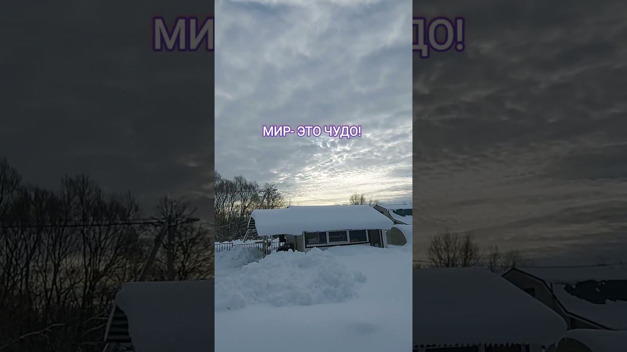 Звучит наша первая песня #мама #love #светдамарья #shorts смотреть онлайн