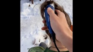 ПОСТРИГСЯ НАЛЫСО ЗИМОЙ