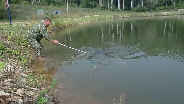 Белый амур часть 4.