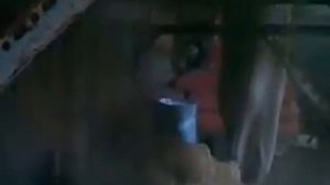 Самодельное вибросито