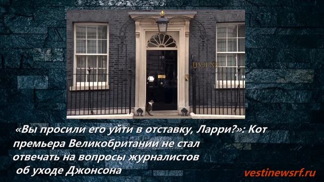 Кот премьера Великобритании не стал отвечать на вопросы журналистов об уходе Джонсона.mp4 смотреть онлайн