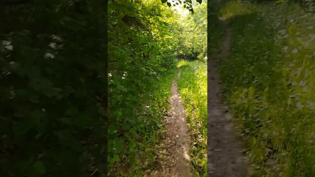 Лесок возле Дериглазова смотреть онлайн