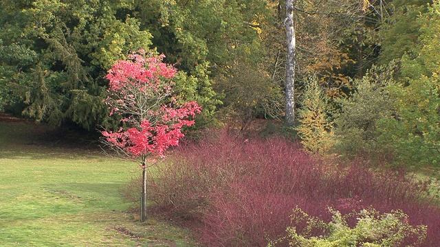 A Visit to Blenheim Palace смотреть онлайн