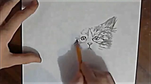 Простые рисунки #5: Брошенный Котёнок смотреть онлайн