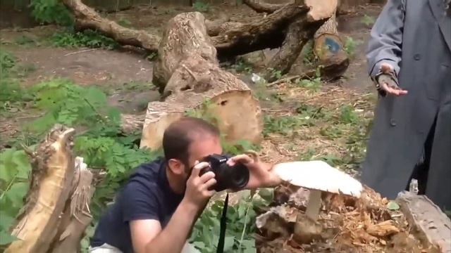 добрый бомж дал пофотографироваться гриб смотреть онлайн