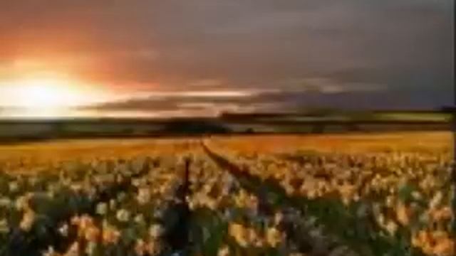 Art Pepper- Somewhere Over the Rainbow смотреть онлайн