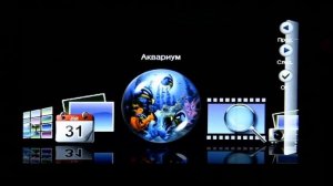 Цифровая фоторамка teXet TF-117