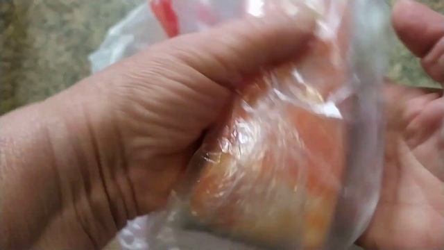 Накануне Пасхи...Кормлю голубей... Гостинцы к празднику! Репортаж из открытого окна... смотреть онлайн