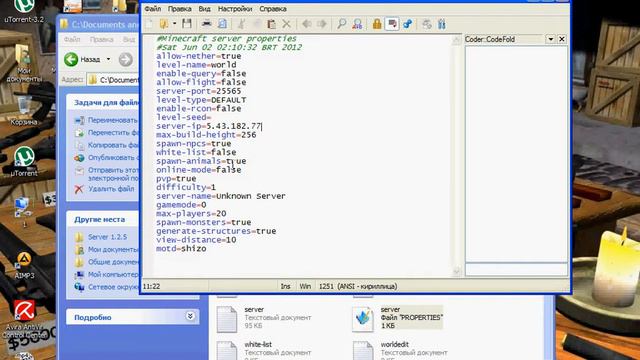 создание сервера minecraft 1.2.5 через hamachi смотреть онлайн