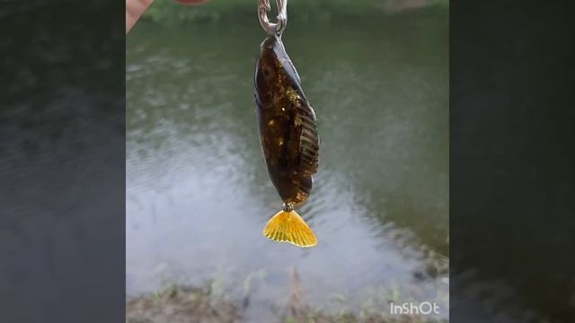 Подвеска из янтаря-Рыбка#ручнаяработа #amber #handmadejewelry #калининград #украшения #мастерская смотреть онлайн