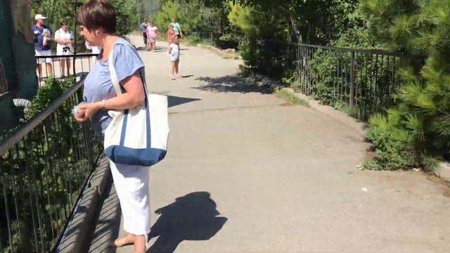 Бурые медведи и Рыжик-вымогатель! смотреть онлайн