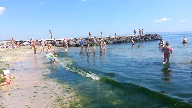 Зеленое Черное море смотреть онлайн