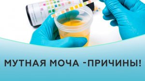 Мутная моча.