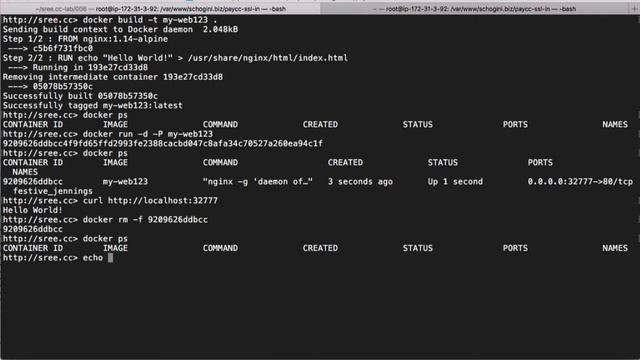 Docker and Custom Image | Docker Getting Started | Lesson 006 смотреть онлайн
