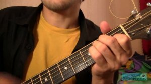 Сектор Газа - Life (Аккорды, урок на гитаре)