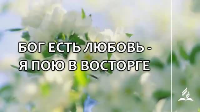 №341 Бог есть любовь - я пою в восторге (тематическое оформл.) _ Караоке с голос смотреть онлайн