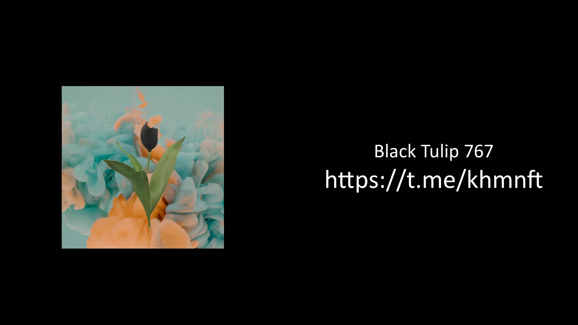 Black Tulip 767 смотреть онлайн