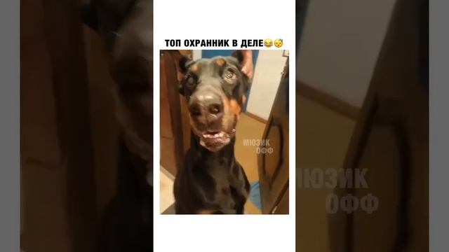 Охранник смотреть онлайн