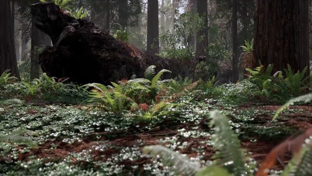 Is This The Ghost Recon Sucessor? | Zero Six Behind Enemy Lines First Look & Impressions смотреть онлайн