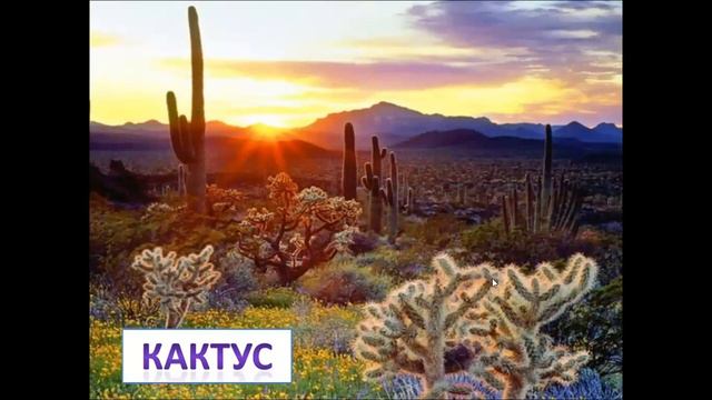 Животные в технологиях и инновациях