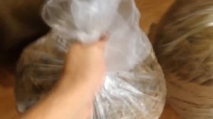 Выращивание грибов в домашних условиях