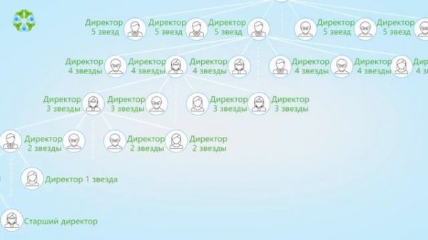 Подробный маркетинг план компании Greenleaf 2020