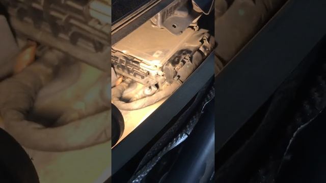 Ubicación De Computadora ECM Volkswagen Tiguan 2011