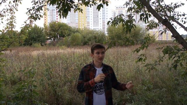 Почему игноришь?\Куда поступпосле 9 класса?\График выхода видео. смотреть онлайн
