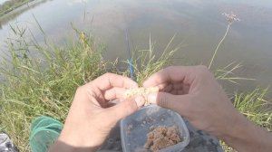 Ловля карася на херабуну. Оснастка, техника ловли, монтаж японской поплавочной удочки