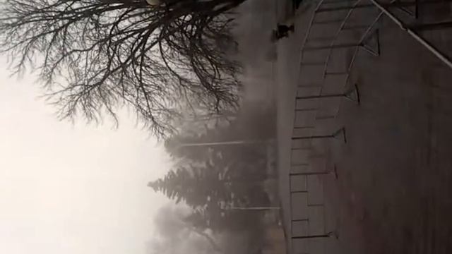 New Year Tree was erected in front of the building of the Rostov Regional Government №2 смотреть онлайн