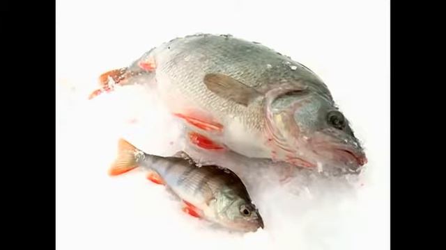Ловля окуня на балансир смотреть онлайн