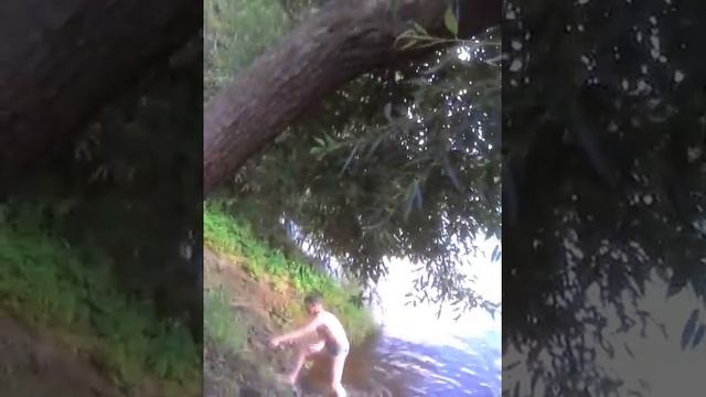 Как падать с деревьев?!! смотреть онлайн