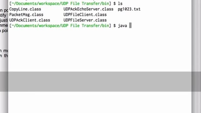 run UDP Echo server & client смотреть онлайн
