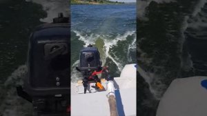 Парсун 5.8 и лодка с полом высокого давления. Полный вес 200кг