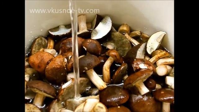 Грибы консервированные смотреть онлайн