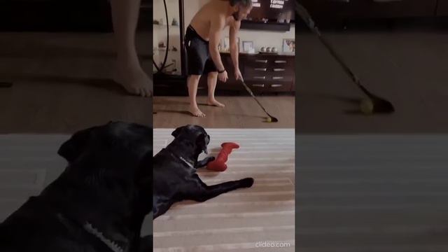 Александр Овечкин сыграл с 1,5-годовалым сыном в хоккей (02.01.19) смотреть онлайн