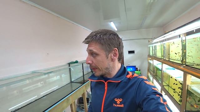 Приготовился к запуску самых больших аквариумов в моей жизни смотреть онлайн
