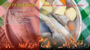 Рецепты из омуля - как приготовить омуля пошаговый рецепт - Уха из благородного омуля за 60 минут